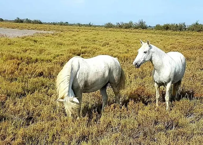 Centre-ville&plage à Portée De Main ! La Grande-Motte